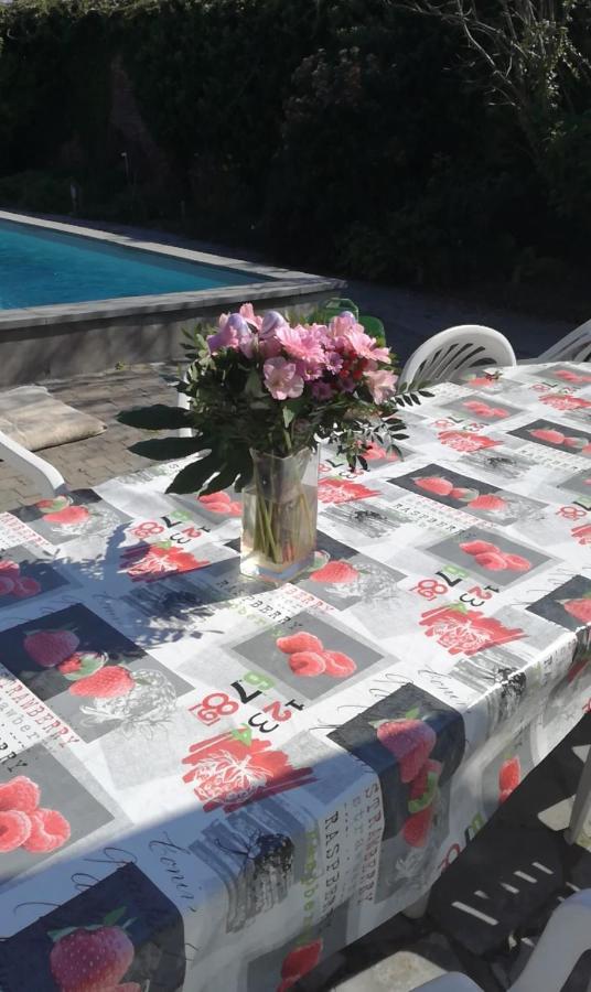 B And B Comme Chez Soi La Hestre Bagian luar foto